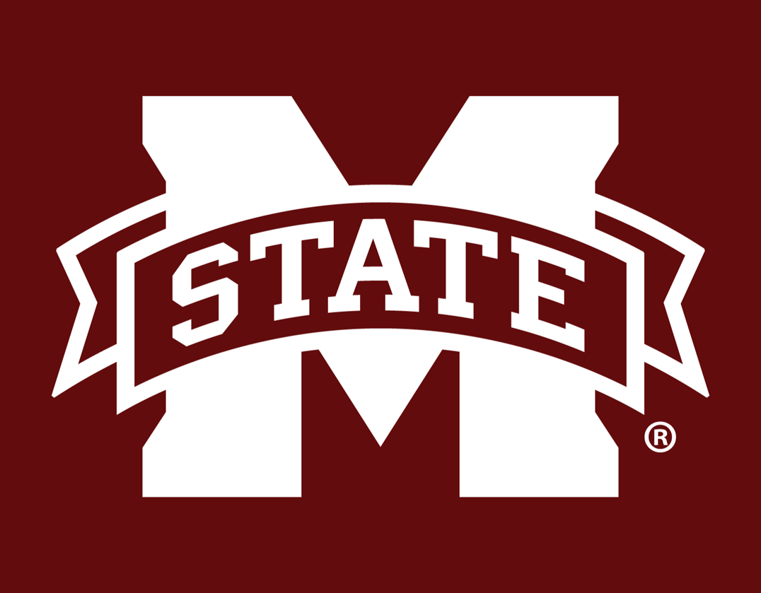 Mississippi State Bulldogs 2009-Pres Alternate Logo v2 DIY iron on transfer (heat transfer)